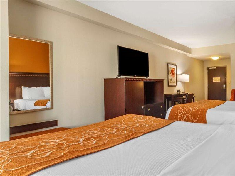 Comfort Suites Knoxville West - Farragut Ngoại thất bức ảnh