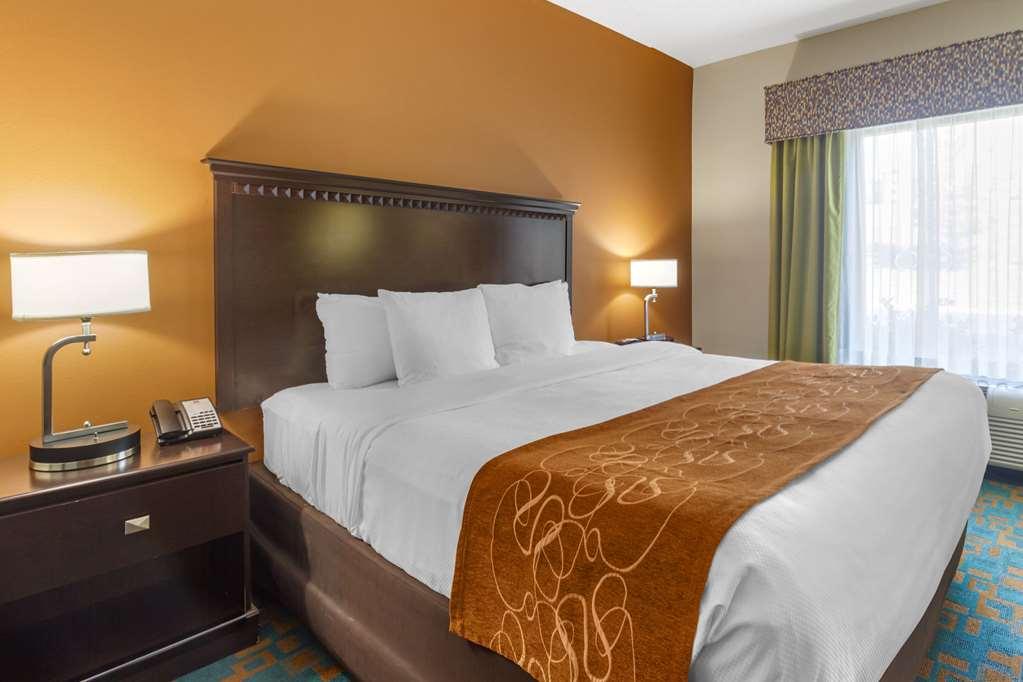 Comfort Suites Knoxville West - Farragut Phòng bức ảnh