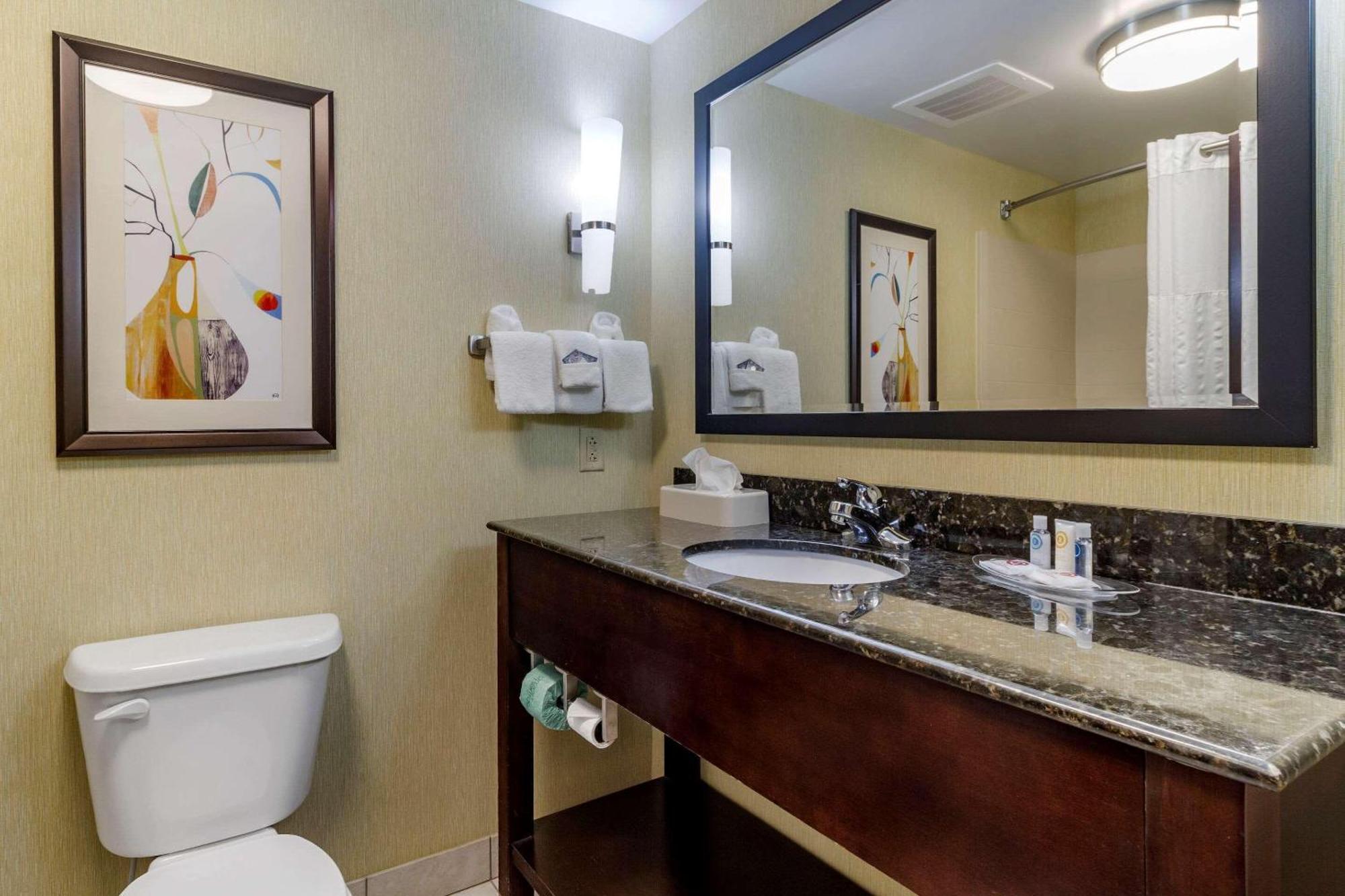 Comfort Suites Knoxville West - Farragut Ngoại thất bức ảnh